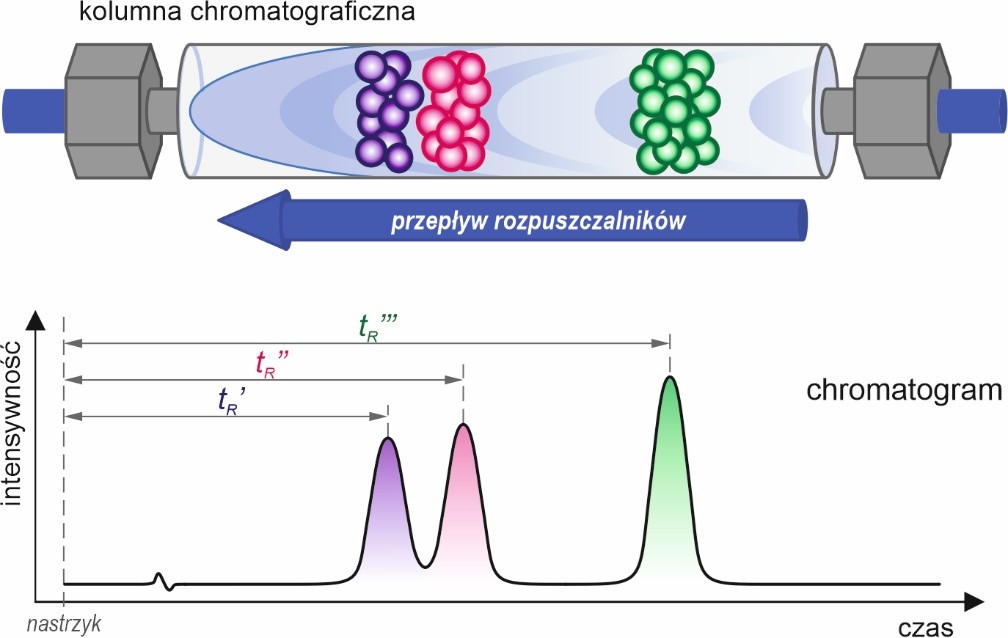 Rys. 1. Schemat rozdzielania związków w kolumnie chromatograficznej oraz otrzymywany chromatogram z czasami retencji (tR); autor: dr hab. inż. Katarzyna Lech